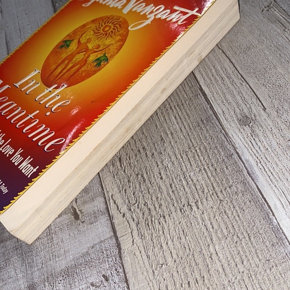 In the Meantime Finding Love and Yourself and the love you want hardback book - Picture 7 of 8